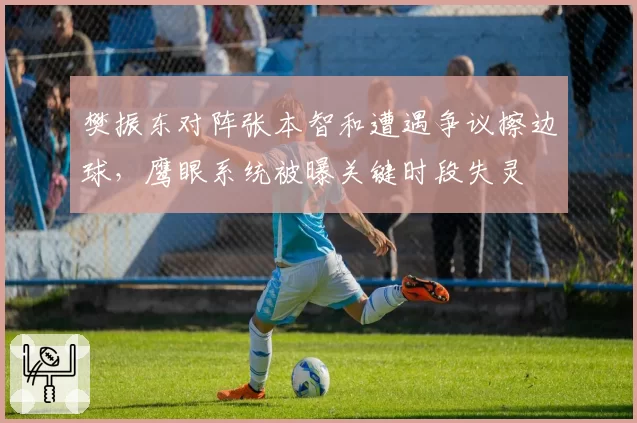 樊振东对阵张本智和遭遇争议擦边球，鹰眼系统被曝关键时段失灵