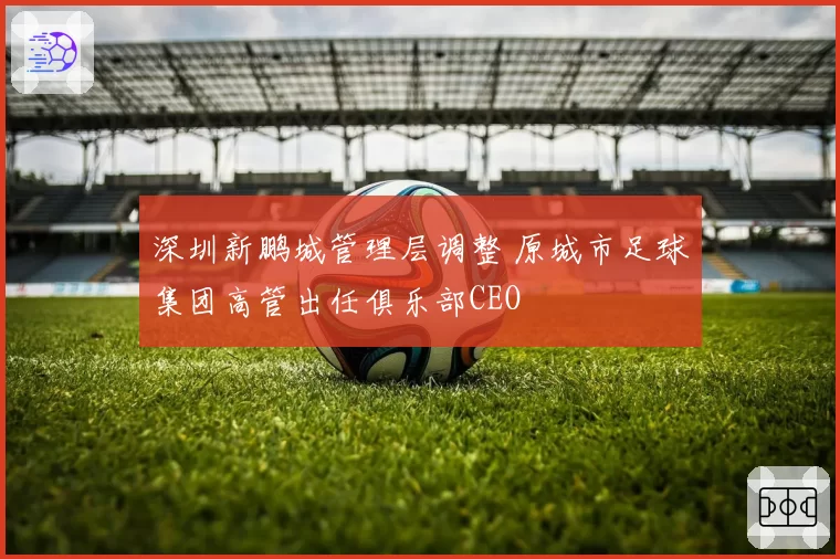 深圳新鹏城管理层调整 原城市足球集团高管出任俱乐部CEO